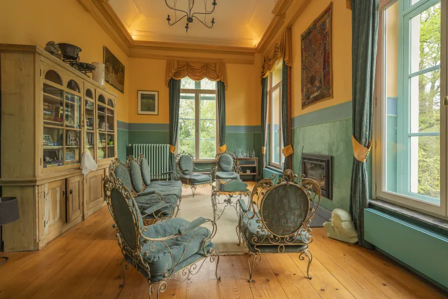 Historic salon with decorated ceiling and classical furniture